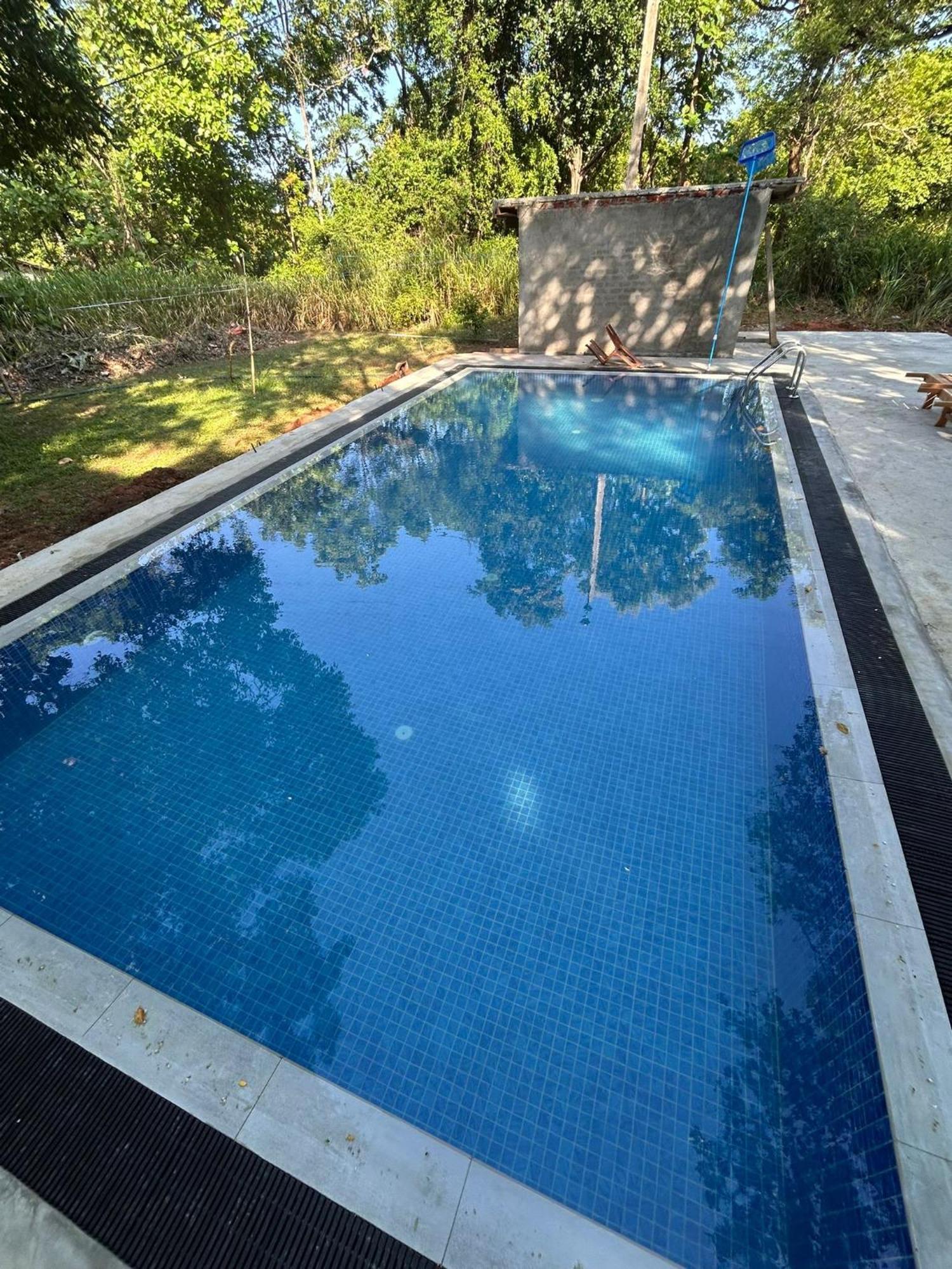 Isanka Lion Lodge Sigiriya Eksteriør billede