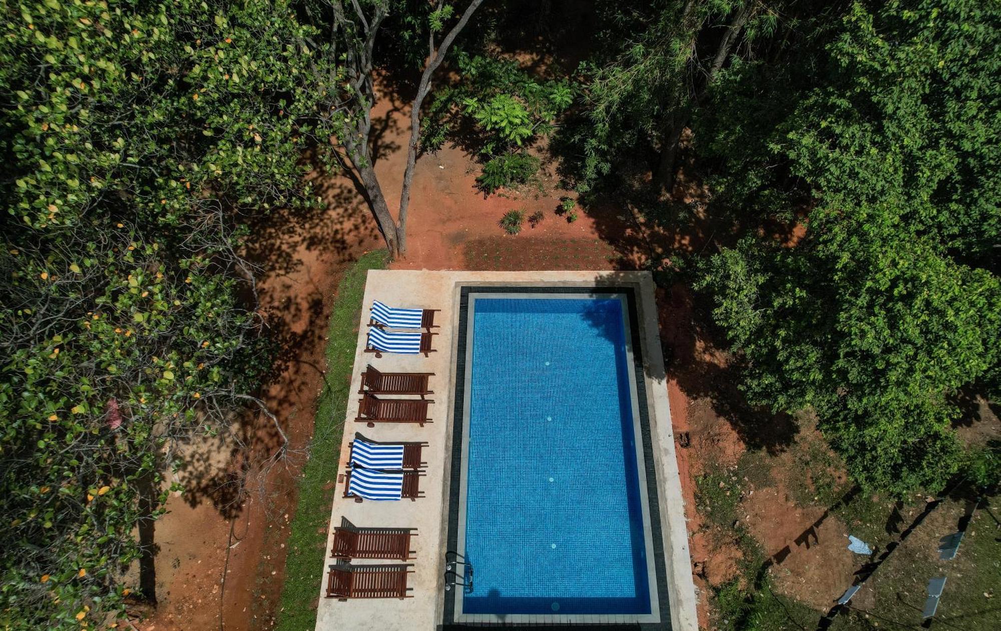 Isanka Lion Lodge Sigiriya Eksteriør billede