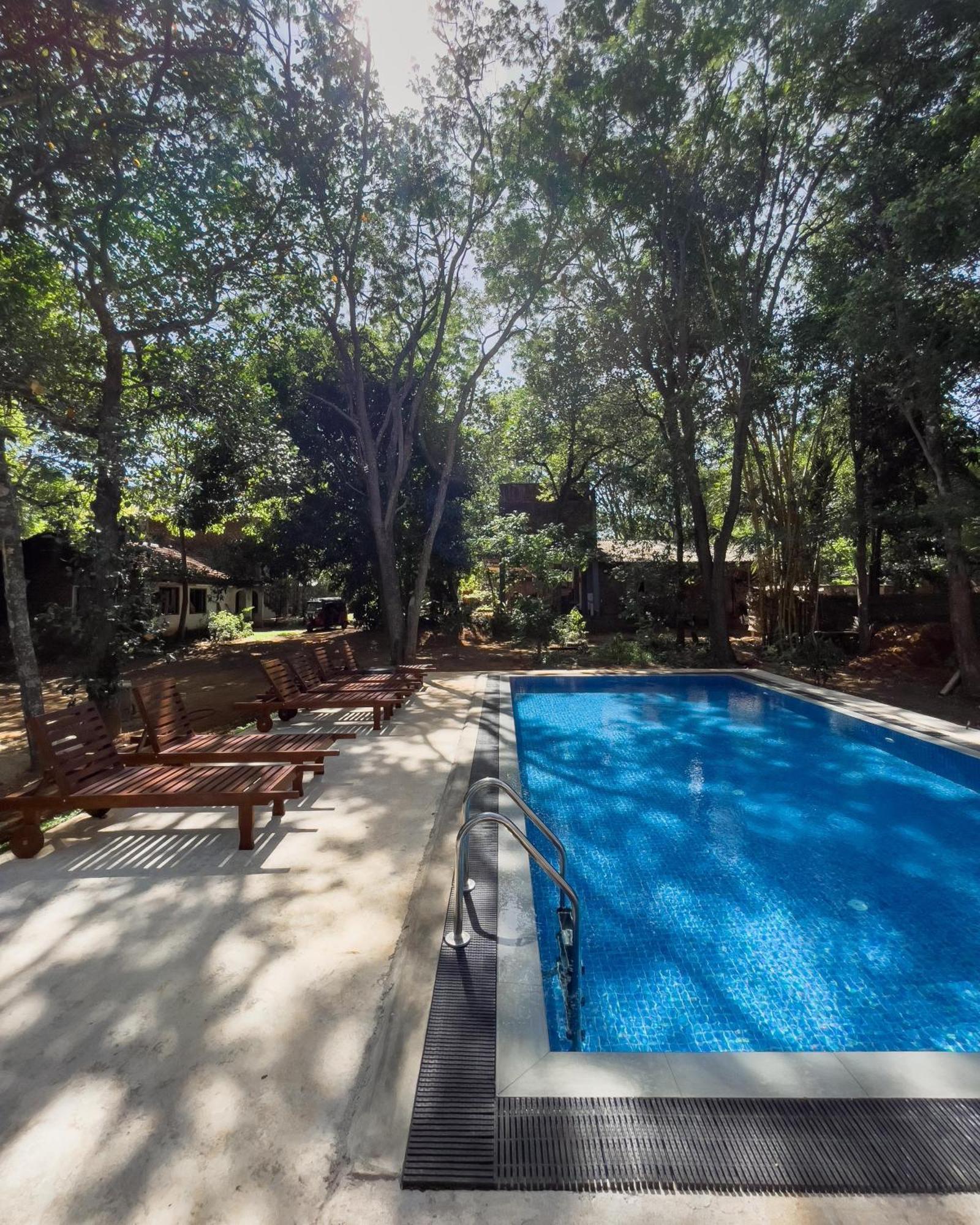 Isanka Lion Lodge Sigiriya Eksteriør billede