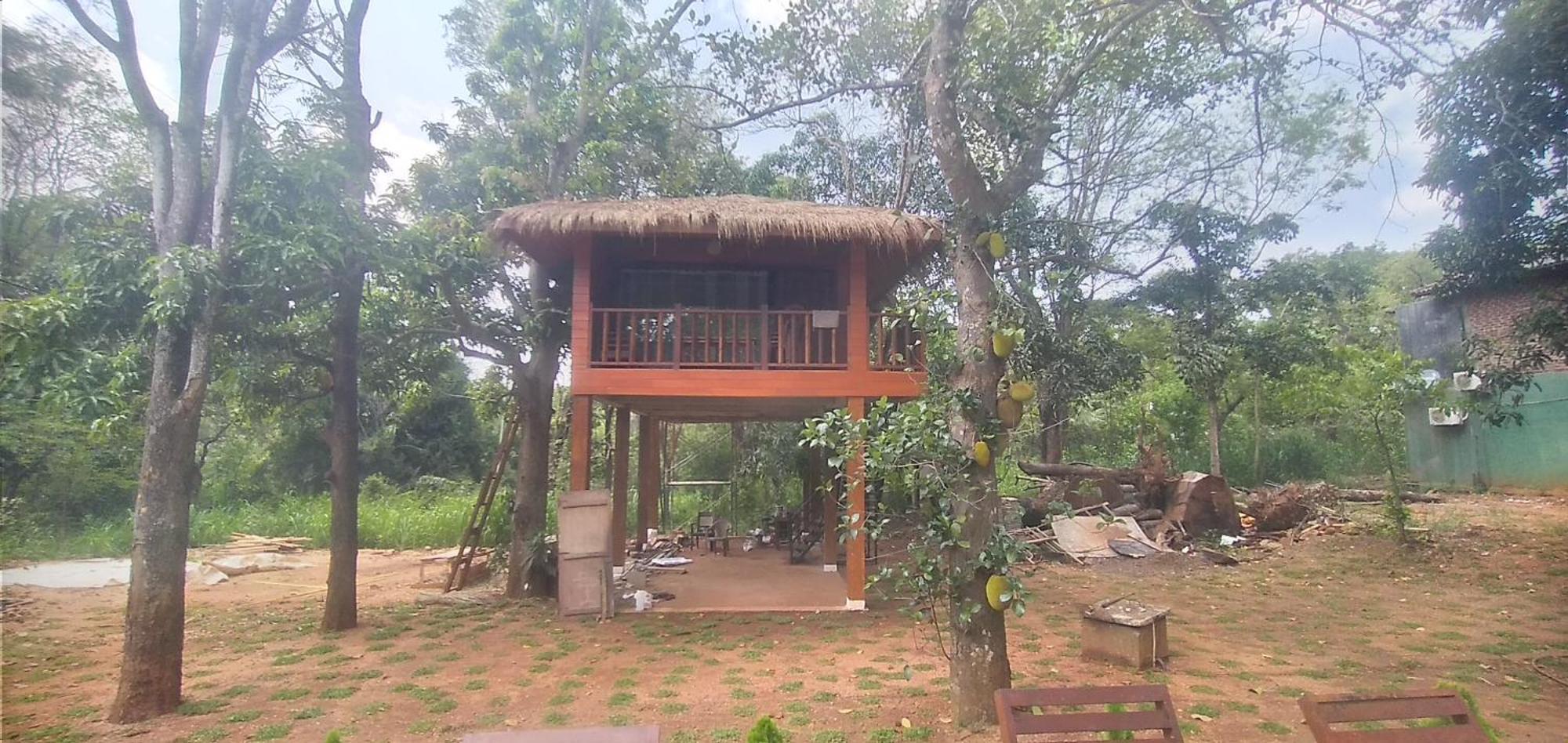 Isanka Lion Lodge Sigiriya Eksteriør billede