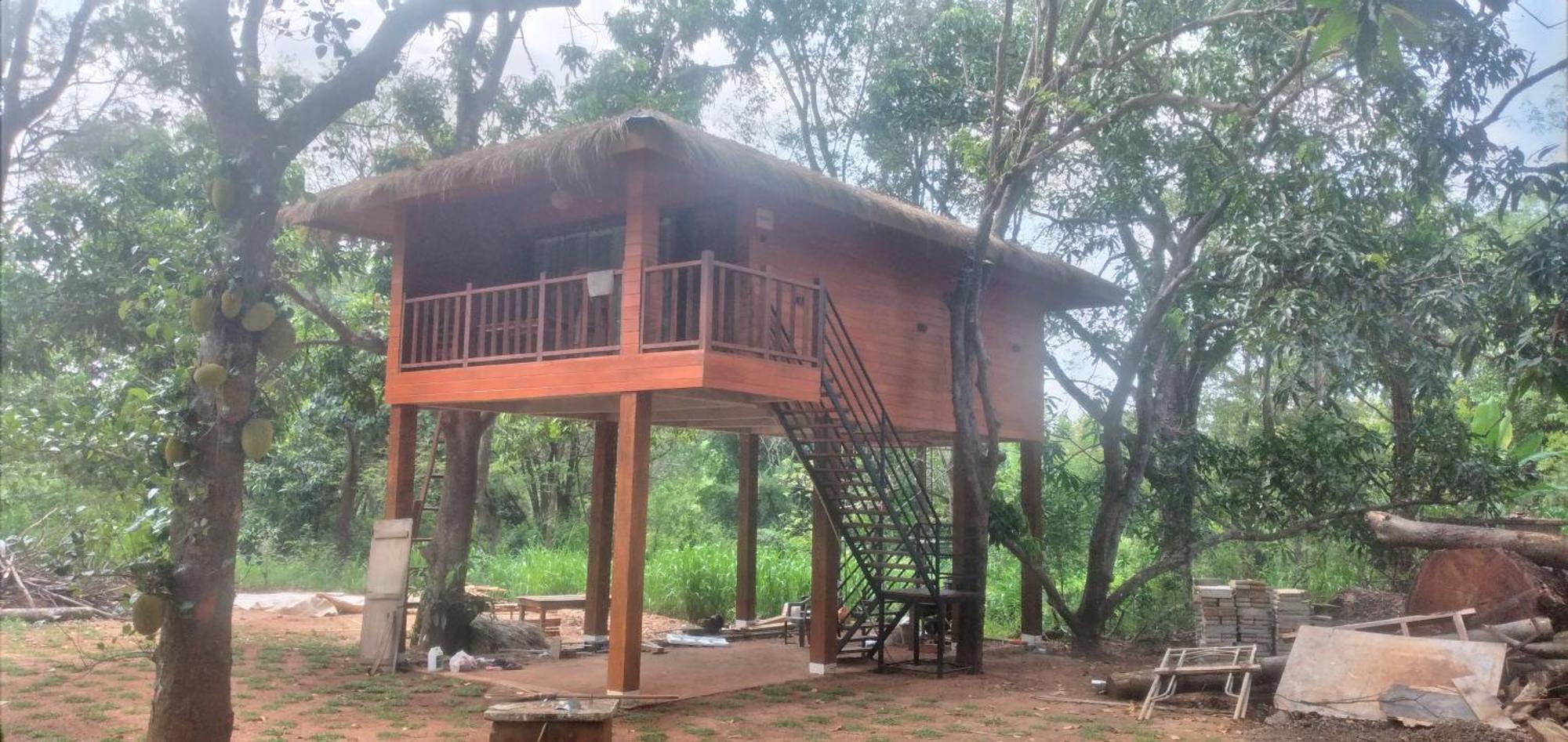 Isanka Lion Lodge Sigiriya Eksteriør billede