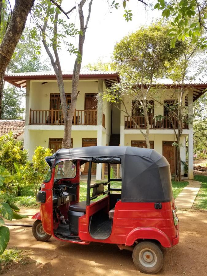 Isanka Lion Lodge Sigiriya Eksteriør billede